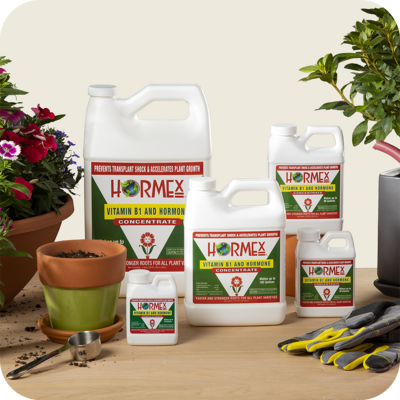 Hormex Rooting Concentrate Liquid
