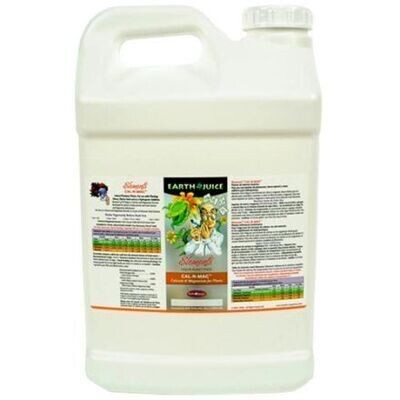 Earth Juice OilyCann Premium Calcium Magnesium Supplement