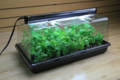 Super Sprouter 1020 Propagation Station Kit Deluxe