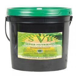 Super Nutrients SVB Vegetative B Super