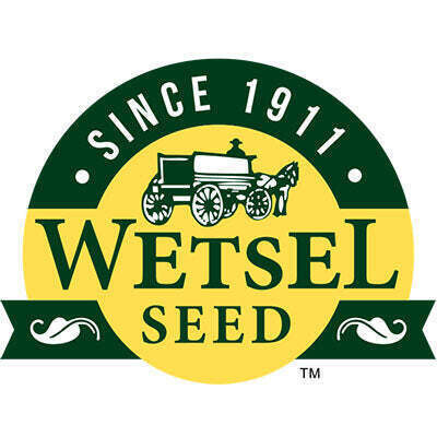 Wetsel Seed Garlic Chives 1 gram Packet of Seeds 1/ each