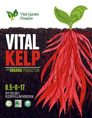 Vital Kelp Extract Powder 0.5-0-17