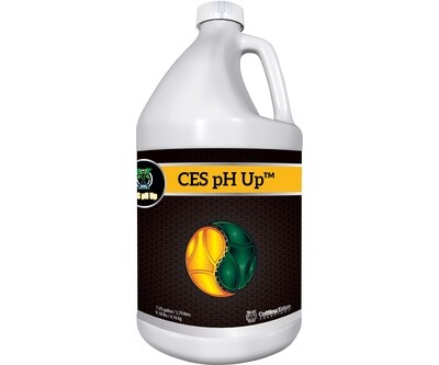 Cutting Edge Solutions pH Up Buffer