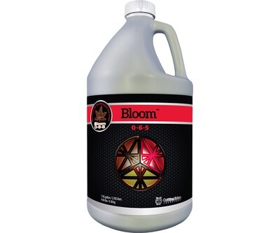 Cutting Edge Solutions Bloom 0-6-5
