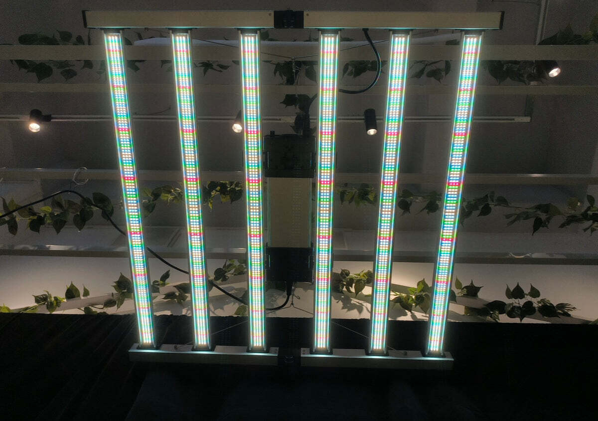 Mammoth Lighting LED System Mint White Samsung EVO LM301h Inventronics Driver EVO, Emerald Green, 3000, 5000 Kelvin, 120 &amp; 240 volt plug 680 watt 6 Bar 2095 μmol/ second 44x44x3 inch 1/ each