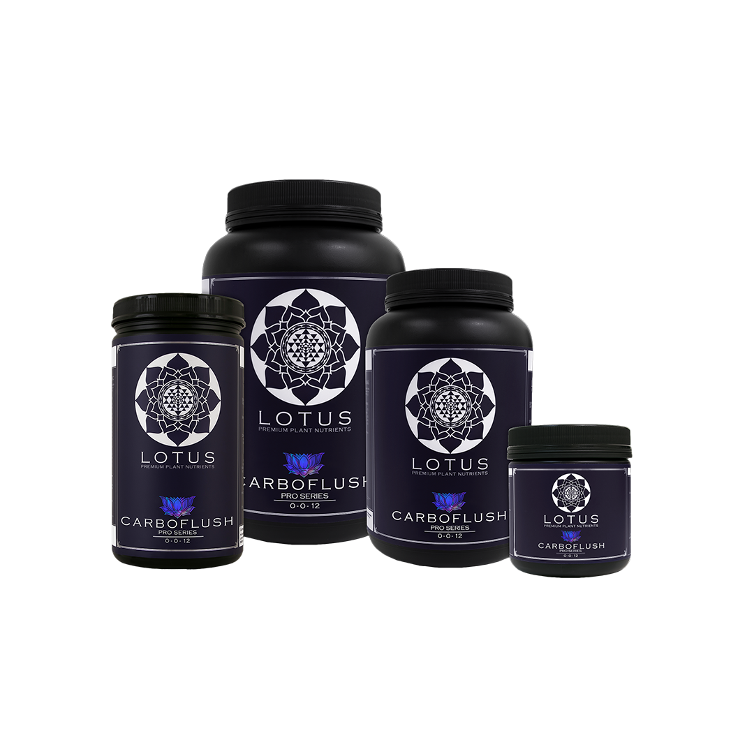 Lotus Pro Series Carbo Flush