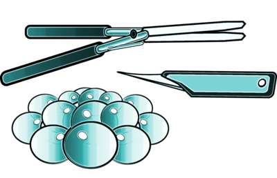 shears, tools, hygiene, pruning