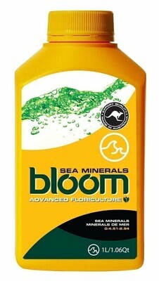 BLOOM Yellow Bottles Sea Minerals, size: 10 fluid ounce 300 milliliter 1/ each