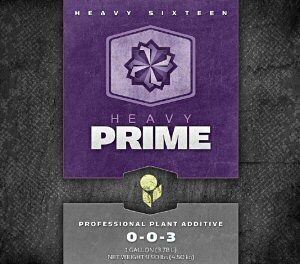 Heavy 16 Prime Concentrate, size: 8 fluid ounce 250 milliliter 1/ each
