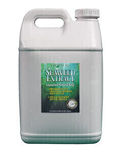 Grow More Organic Seaweed Extract, size: 1 quart 1 liter 1/ each
