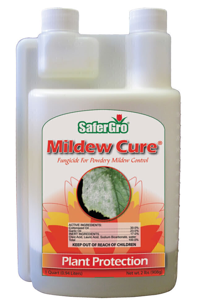 SaferGro Mildew Cure Concentrate, size: 1 pint 500 milliliter 1/ each