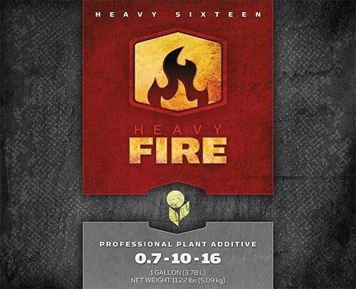 Heavy 16 Fire, size: 8 fluid ounce 250 milliliter 1/ each