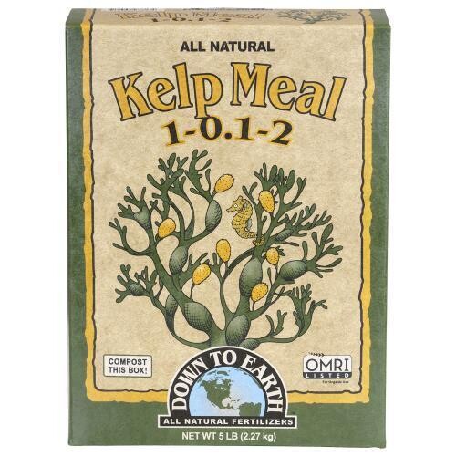 Down to Earth Dry Kelp Meal 1-0.1-2, size: 5 pound 2.3 kilogram 1/ each