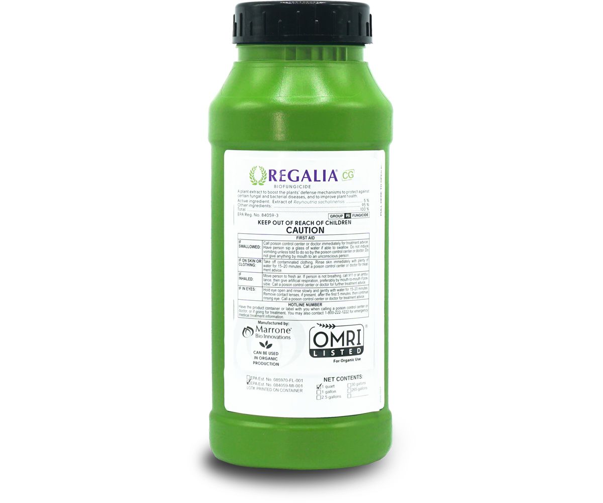 Marrone Bio Innovations Regalia CG BioFungicide Biological Organic Fungus Control Reynoutria sachalinensis 5%