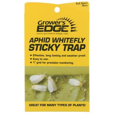 Grower&#39;s Edge Sticky Traps for Aphid, Whitefly, Fungus Gnat, etc. 6.3x4.1 inch 5/ pack