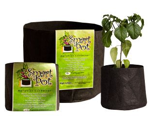 Smart Pot Fabric Pot Black no Handles