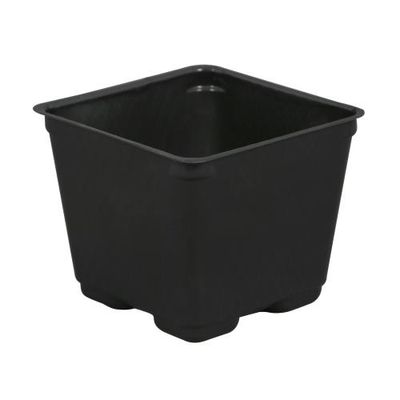 Gro Pro Square Pot