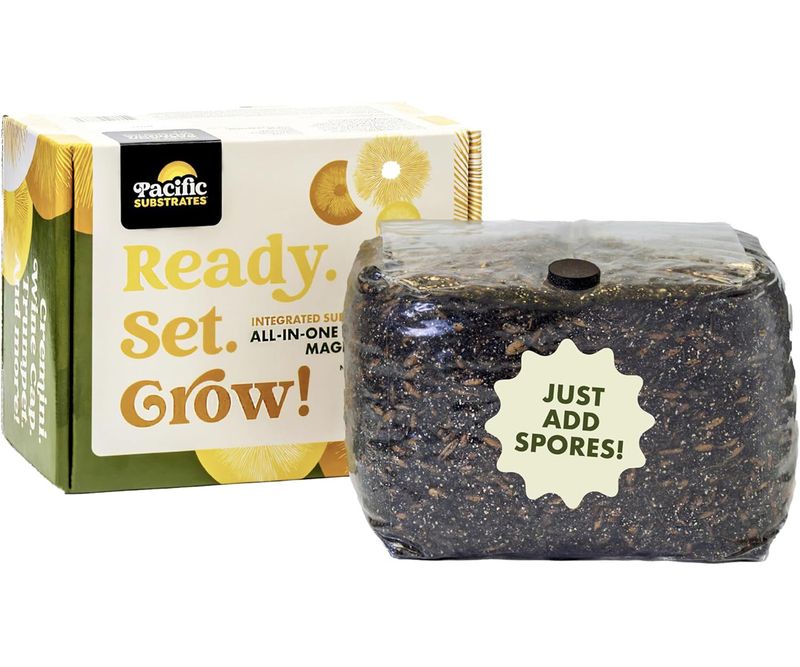 Pacific Substrates All-In-One Mushroom Grow Kit Integrated Substrate &amp; Grains ISG 3 pound bag