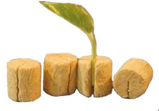 Grodan Improved Rockwool Macro Gro Plugs