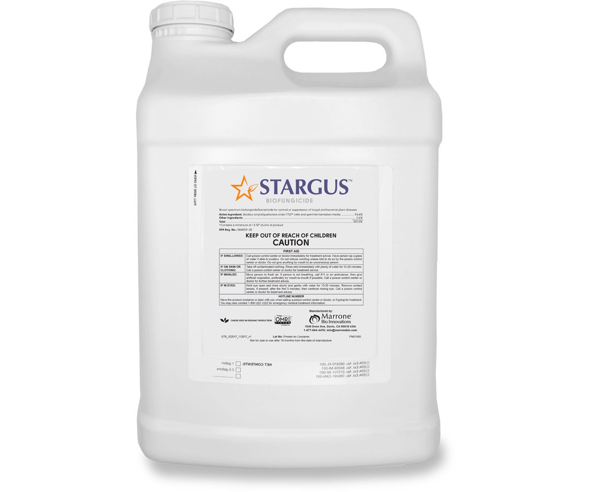 Marrone Bio Innovations Stargus Biofungicide 2.5 gallon 1/ each
