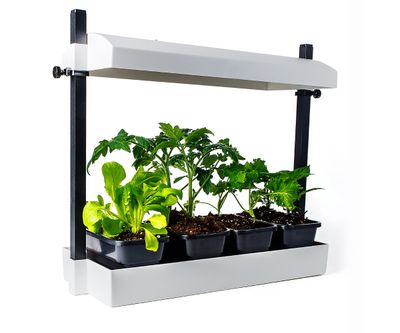 SunBlaster Complete Garden System with LED Grow Light, Wicking Mat, Adjustable Height Reflector up to 18 inches