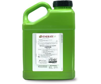 Marrone Bio Innovations Venerate CG Bioinsecticide
