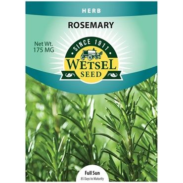 Wetsel Seed Rosemary 0.175 gram Packet of Seeds 1/ each