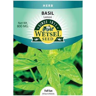 Wetsel Seed Lemon Basil 0.8 gram Packet of Seeds 1/ each