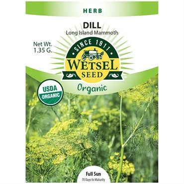 Wetsel Seed Organic Mammoth Dill 1.35 gram Packet of Seeds 1/ each
