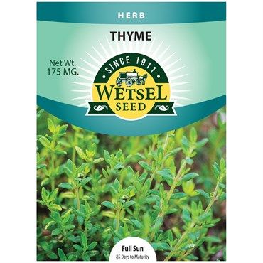 Wetsel Seed Thyme 0.175 gram Packet of Seeds 1/ each
