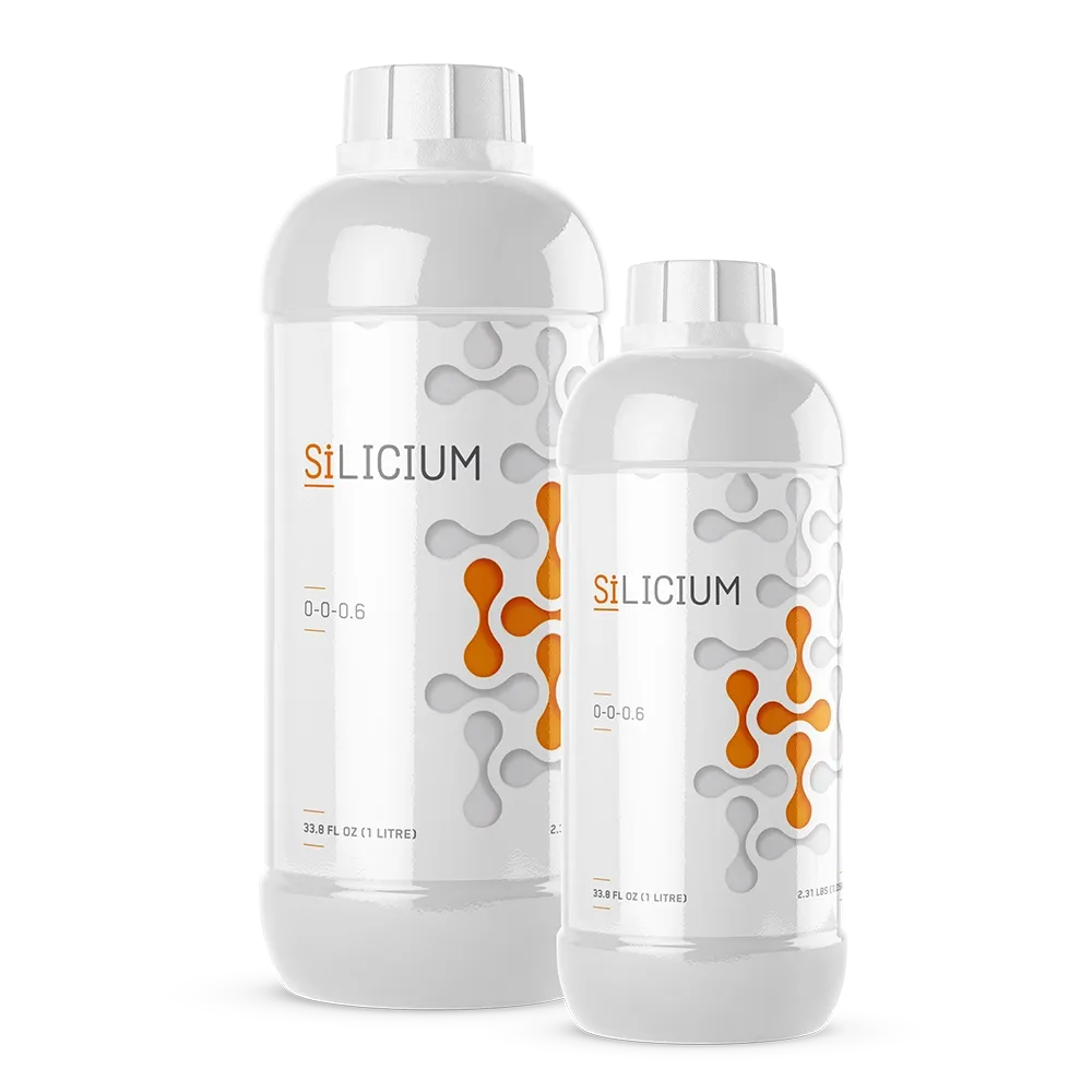 SiLicium Original Monosilicic Acid H₂SiO₃