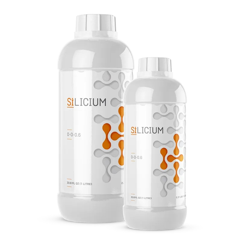 SiLicium Original Monosilicic Acid H₂SiO₃