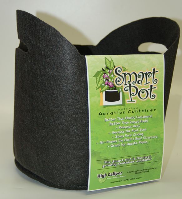 Smart Pot Fabric Pot Black with Handles, size: 3 gallon 10x8.5 inch