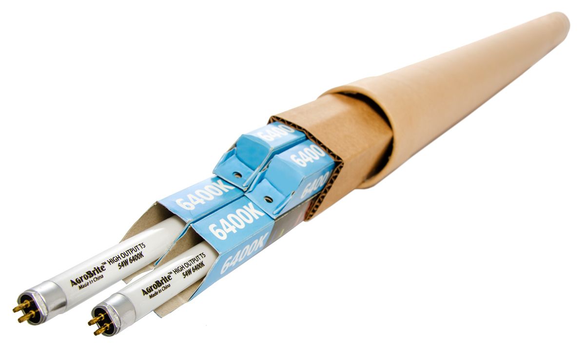 Agrobrite T5 Fluorescent Lamp Light Bulb Tube Strip, size: 2 foot 24 watt 6400 Kelvin 1/ each