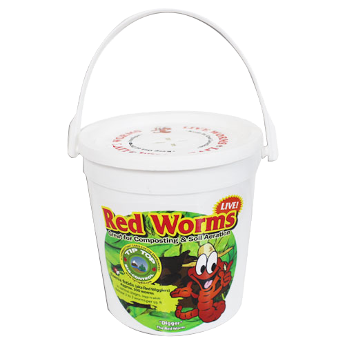 Tip Top Bio Worms Live Red Wigglers All Life Stages Highly Excretory Adults, New Borns, and Eggs for Composting, Aeration, size: 300 unit 600 square foot coverage 0.25 pound 1/ each