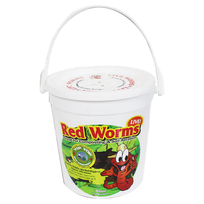 Tip Top Bio Worms Live Red Wigglers All Life Stages Highly Excretory Adults, New Borns, and Eggs for Composting, Aeration, size: 300 unit 600 square foot coverage 0.25 pound 1/ each