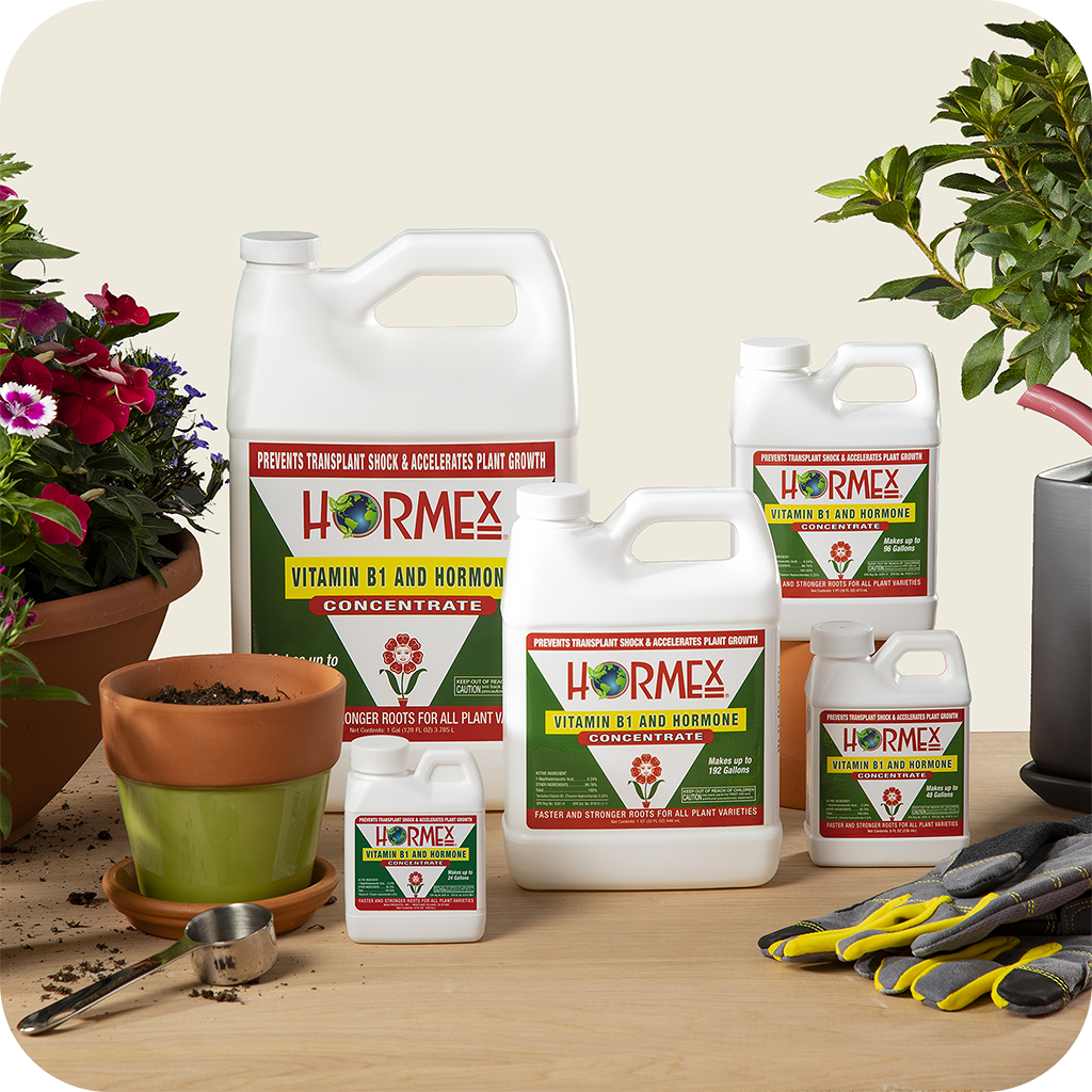 Hormex Rooting Concentrate Liquid, size: 4 fluid ounce 125 milliliter 1/ each