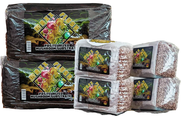 High Desert Spores Sterilized Organic Grains Bag, size: 1 pound 0.5 kilogram Rye Berry 1/ each