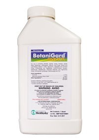 BioWorks Botanigard Maxx 1 gallon 4 liter 1/ each