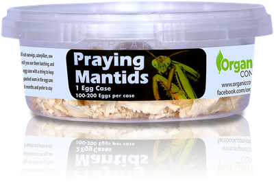 Orcon Praying Mantis Eggs Broad Spectrum Pest Control