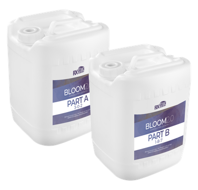 RX Green Technologies Base 2.0 Bloom B 1-8-7