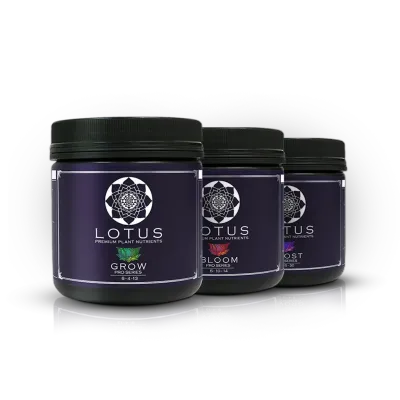 Lotus Pro Series Kick Starter Kit 1 pound 2.2 kilogram 16 dry ounce 1/ each