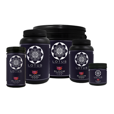 Lotus Pro Series Bloom