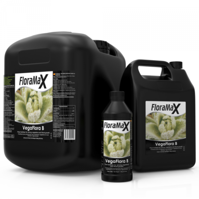 FloraMax VegaFlora B Liquid 2-0-0