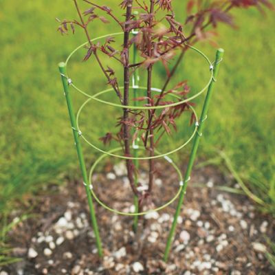 Grow1 Foldable Plant Support Cage Green
