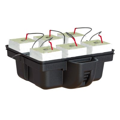 Platinium HydroStone Drip System