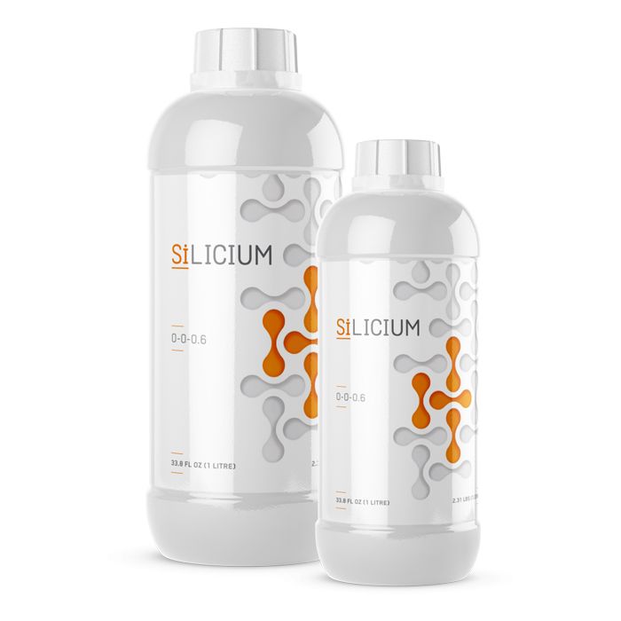 SiLicium Original Monosilicic Acid H2SiO3