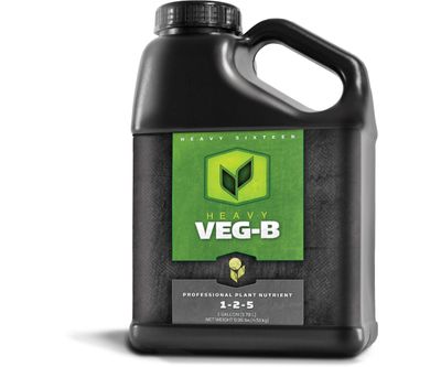 Heavy 16 Base Veg B