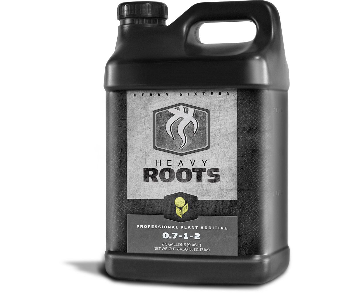 Heavy 16 Roots