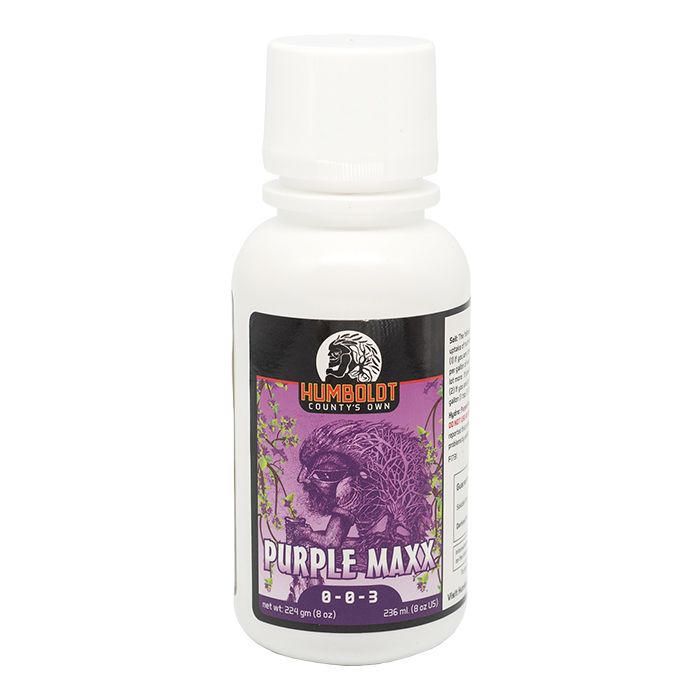 Humboldt County's Own Purple Maxx